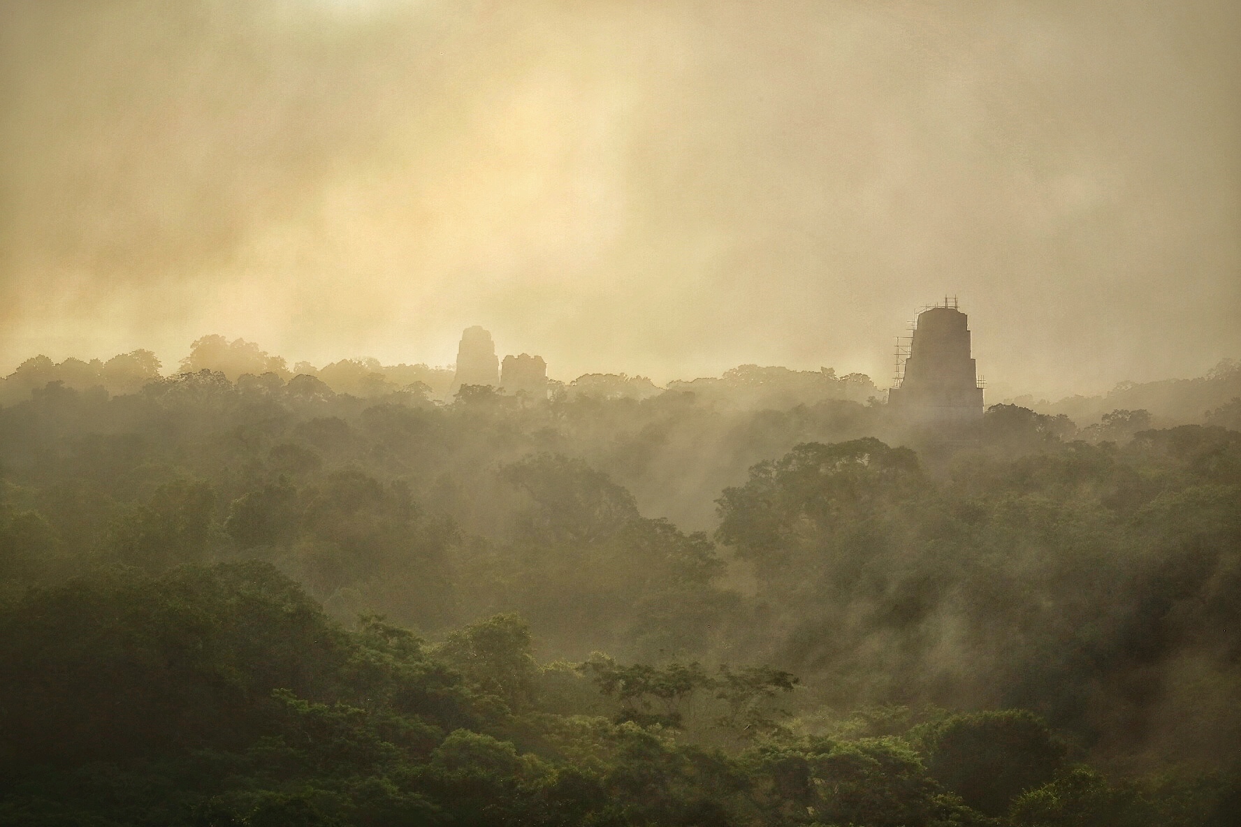 Het land van de eeuwige lente